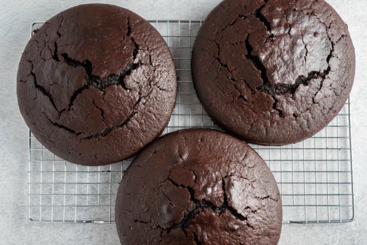 baked chocolate cakes on cooling rack.