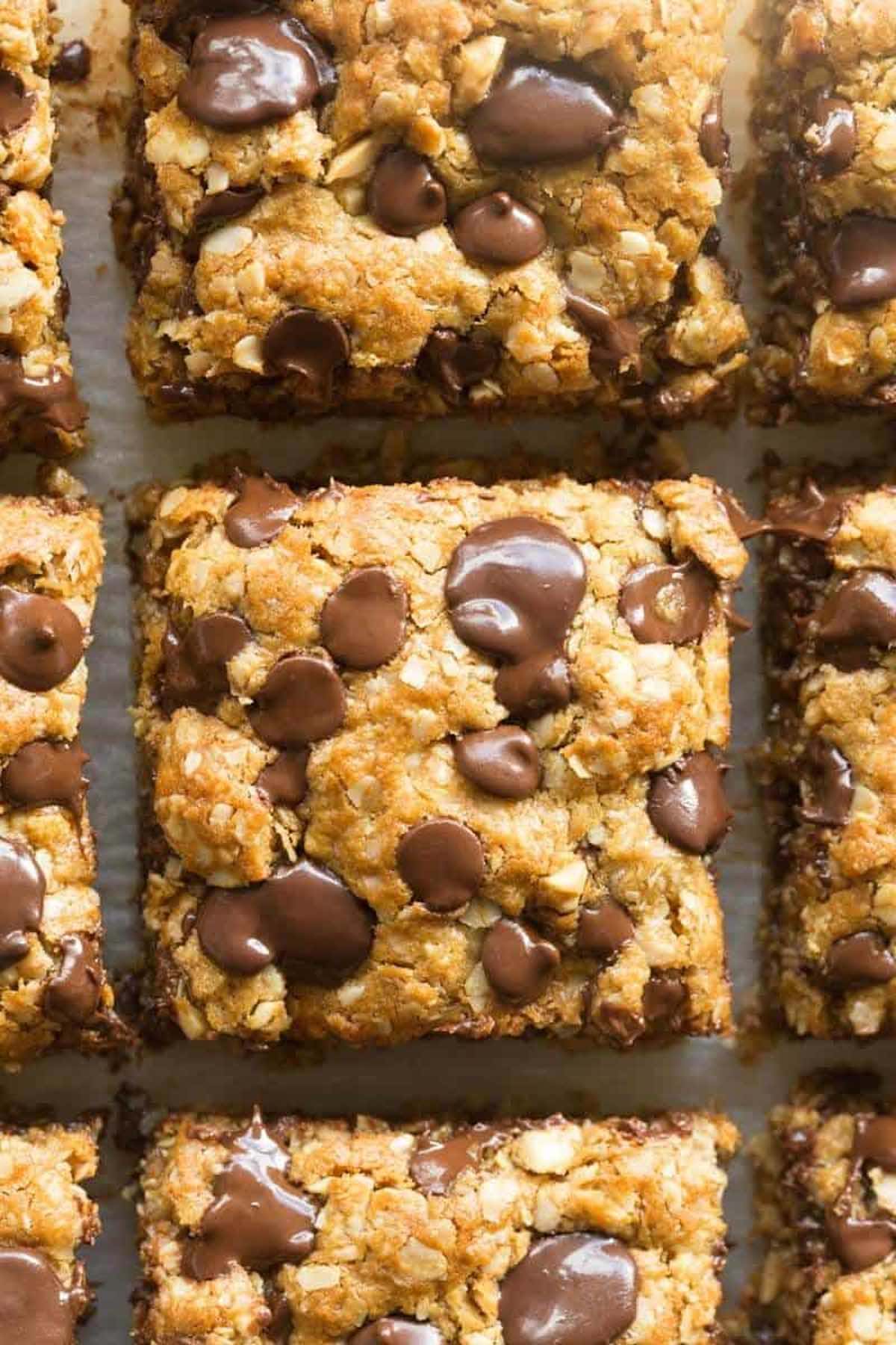 oatmeal chocolate chip cookie bars.