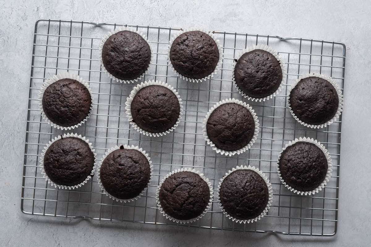 baked chocolate cupcakes without frosting.