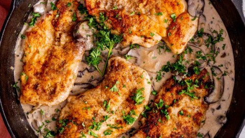 chicken marsala recipe.
