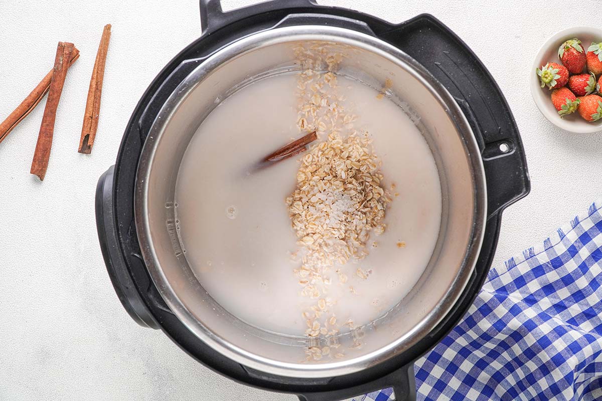 oats, cinnamon, and milk in an Instant Pot.