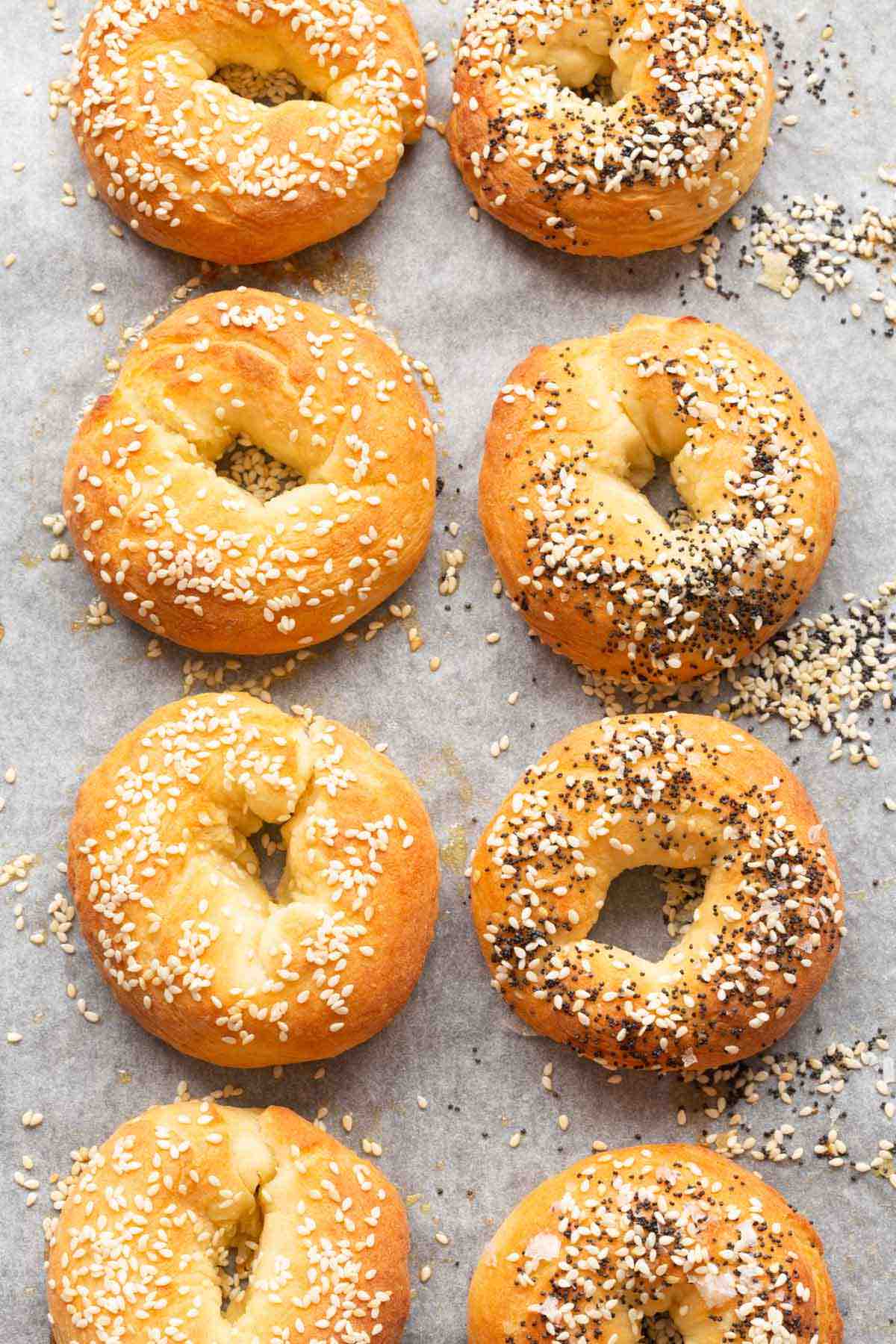 2 ingredient cottage cheese bagels.