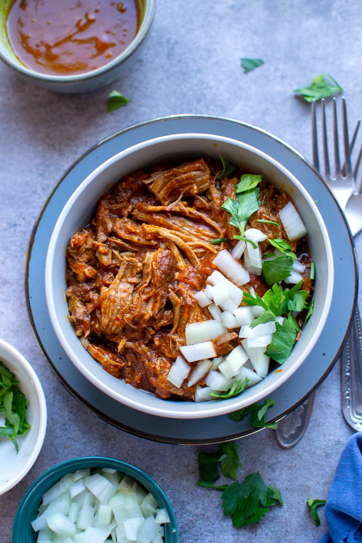homemade birria with consomme.