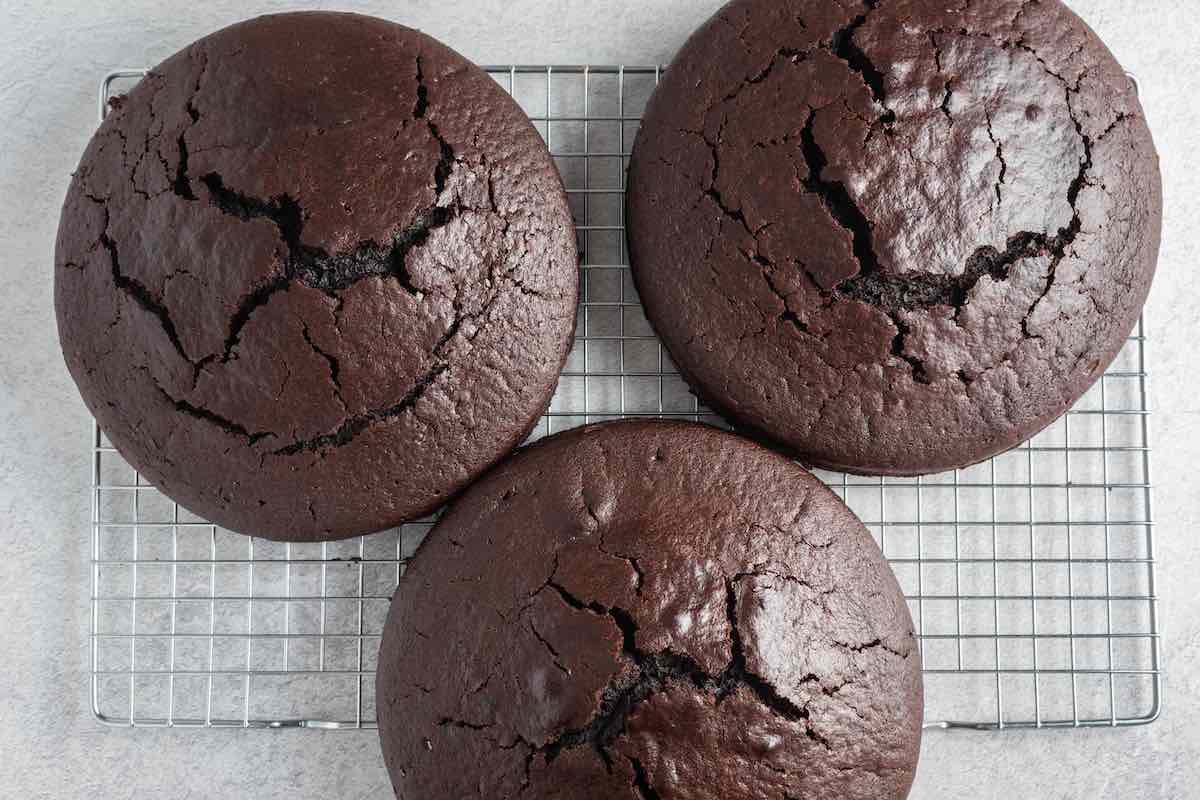 baked chocolate cakes on a wire rack.