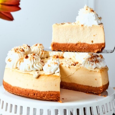 cottage cheese cheesecake recipe.