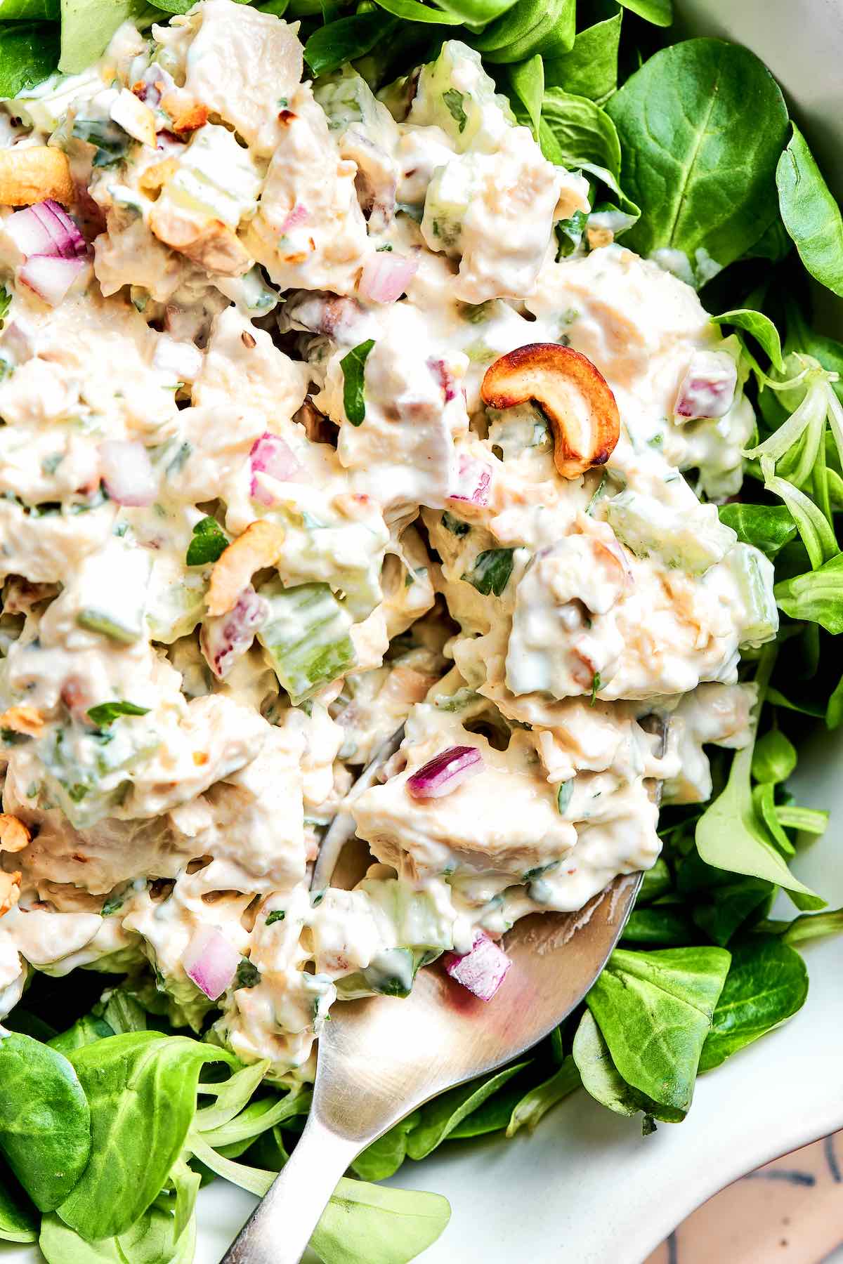 healthy chicken salad over a bed of lettuce.