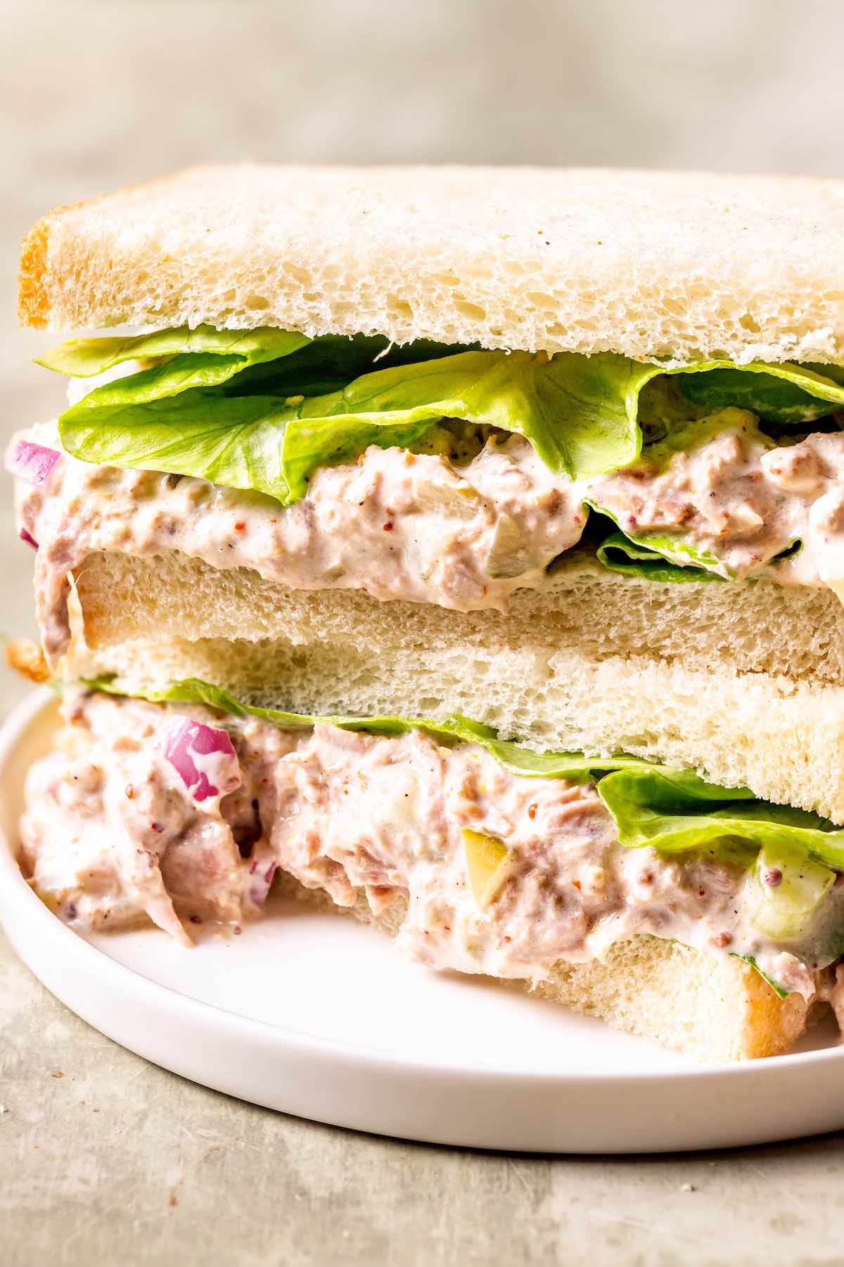 healthy tuna salad sandwich with lettuce.
