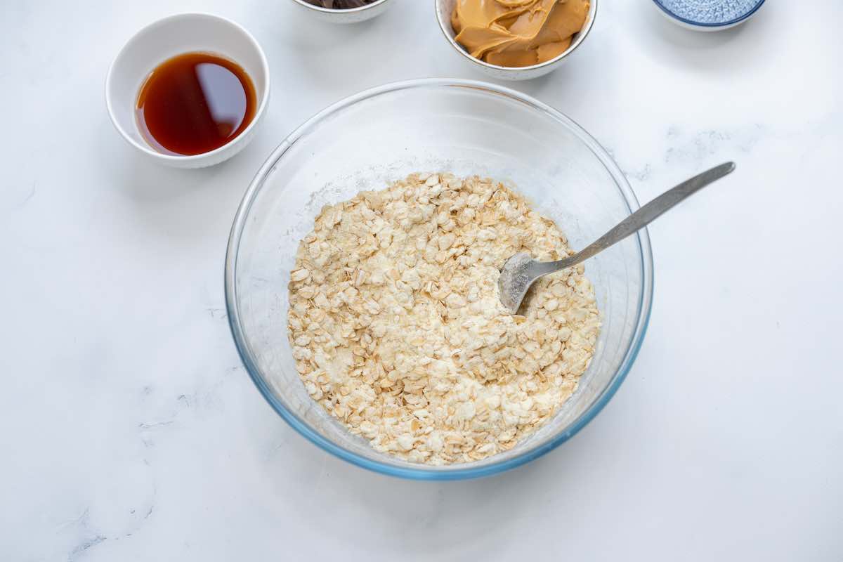 oats and protein powder mixed together in a bowl.