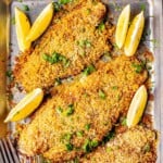parmesan crusted tilapia recipe.