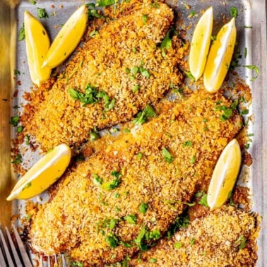 parmesan crusted tilapia recipe.