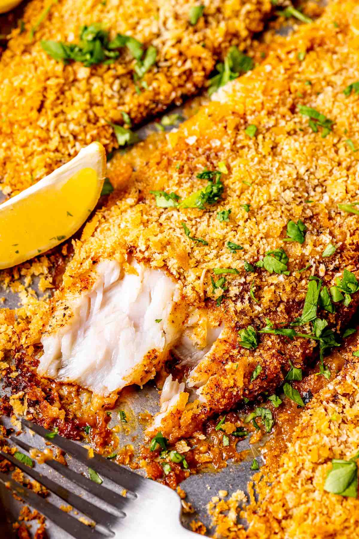parmesan crusted oven baked tilapia.