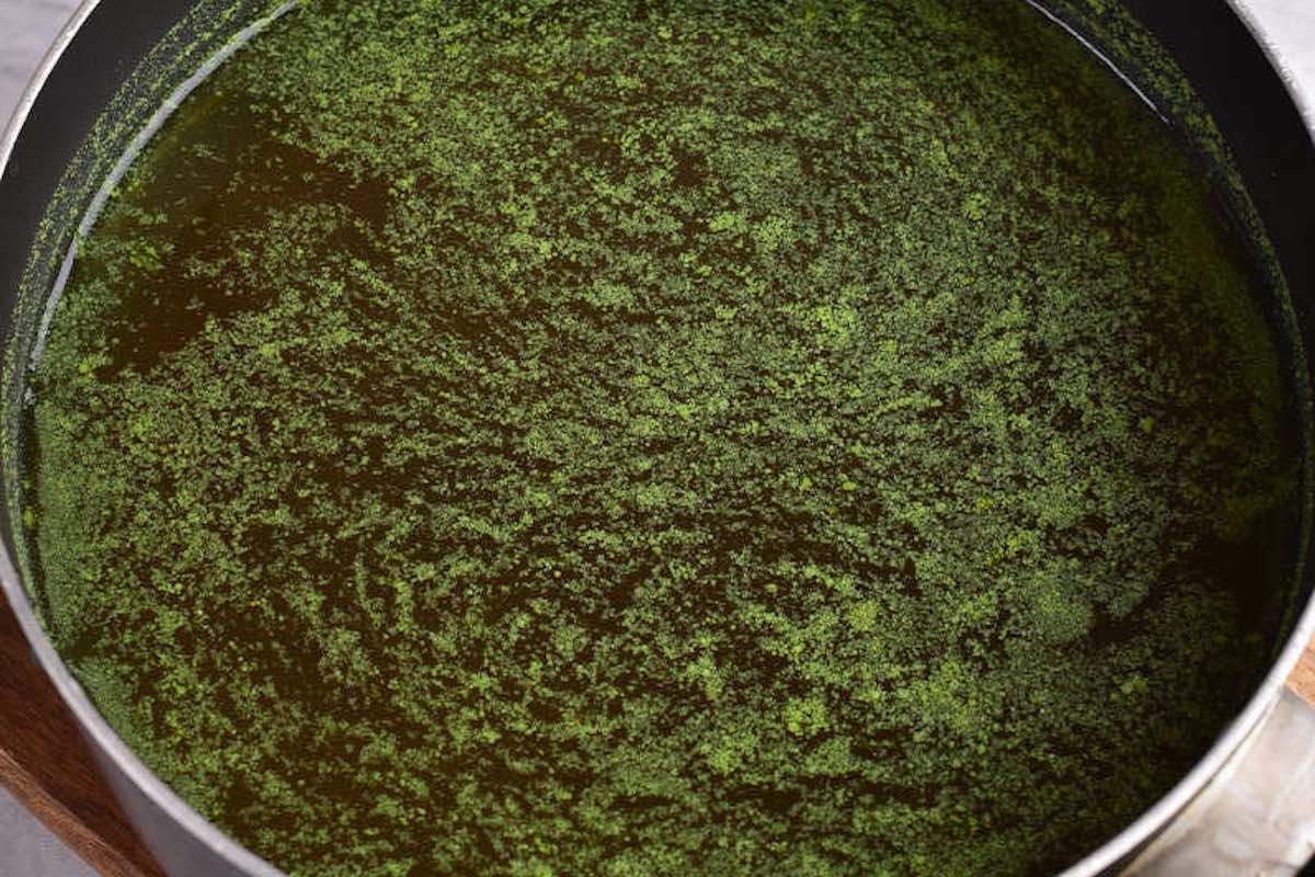 chicken broth and soy sauce simmering in a saucepan.