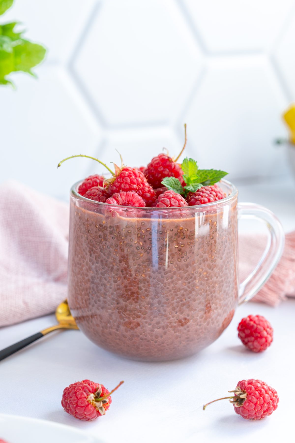 high protein chia pudding with fresh raspberries on top.