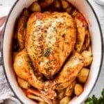 Dutch oven roast chicken recipe.