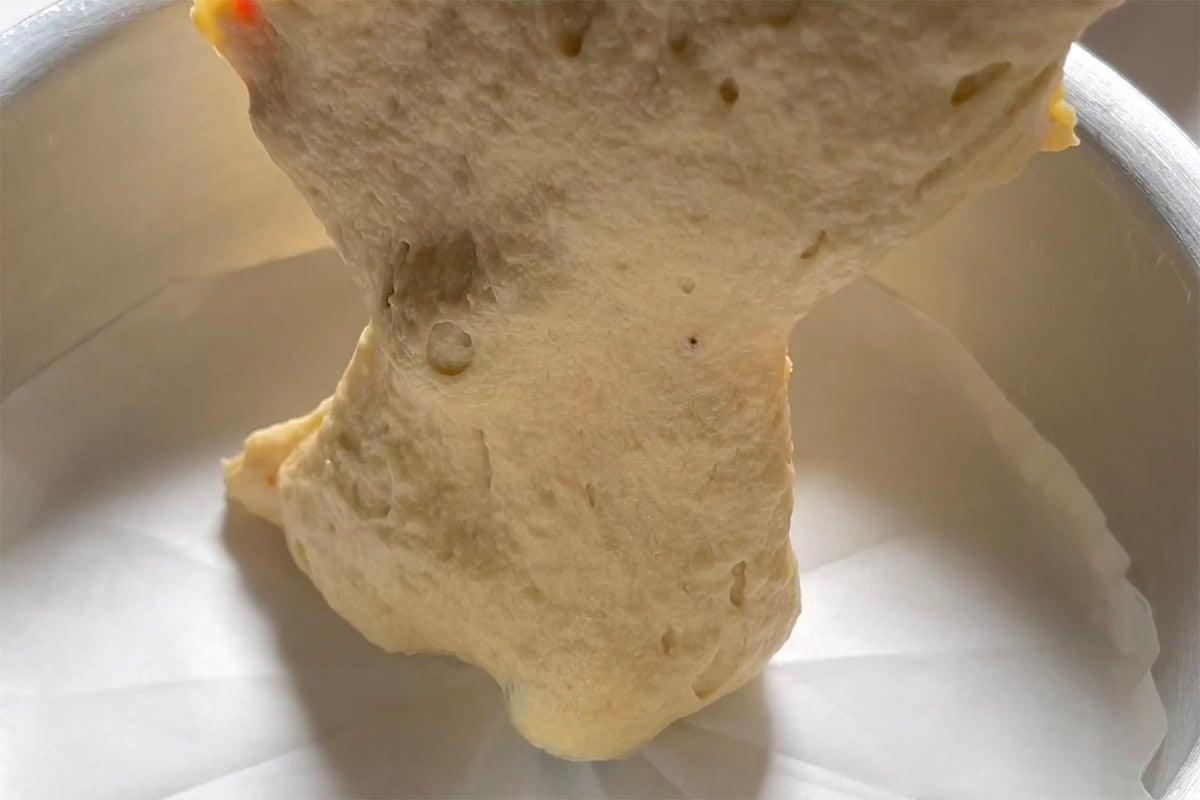 assembling lemon blueberry cake in cake tin.