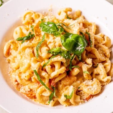 Boursin cheese pasta with cavatappi, creamy tomato sauce, fresh basil, and grated Parmesan cheese in a white bowl.