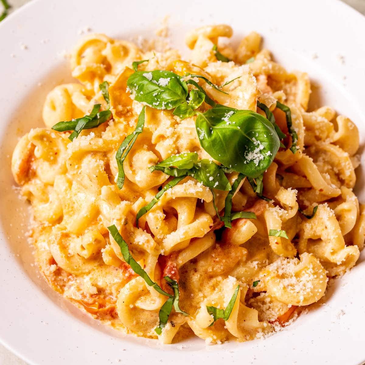 Boursin Cheese Pasta
