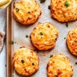breakfast biscuits recipe.